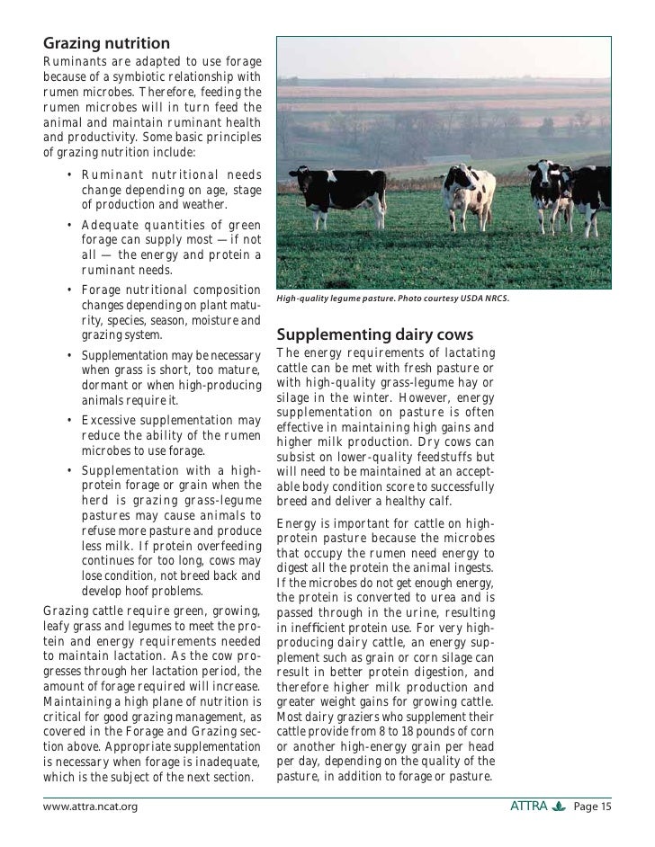 Dairy production on pasture : an introduction to grass based and seasonal dairying